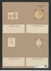 Craspedodiscus coscinodisucs Ehr. (de-Toni-Nr.: Genus 201, Species 4832) Zeichnungen Sammlung Grunow Nr. 8494 (NHMW-BOT-W0377966)